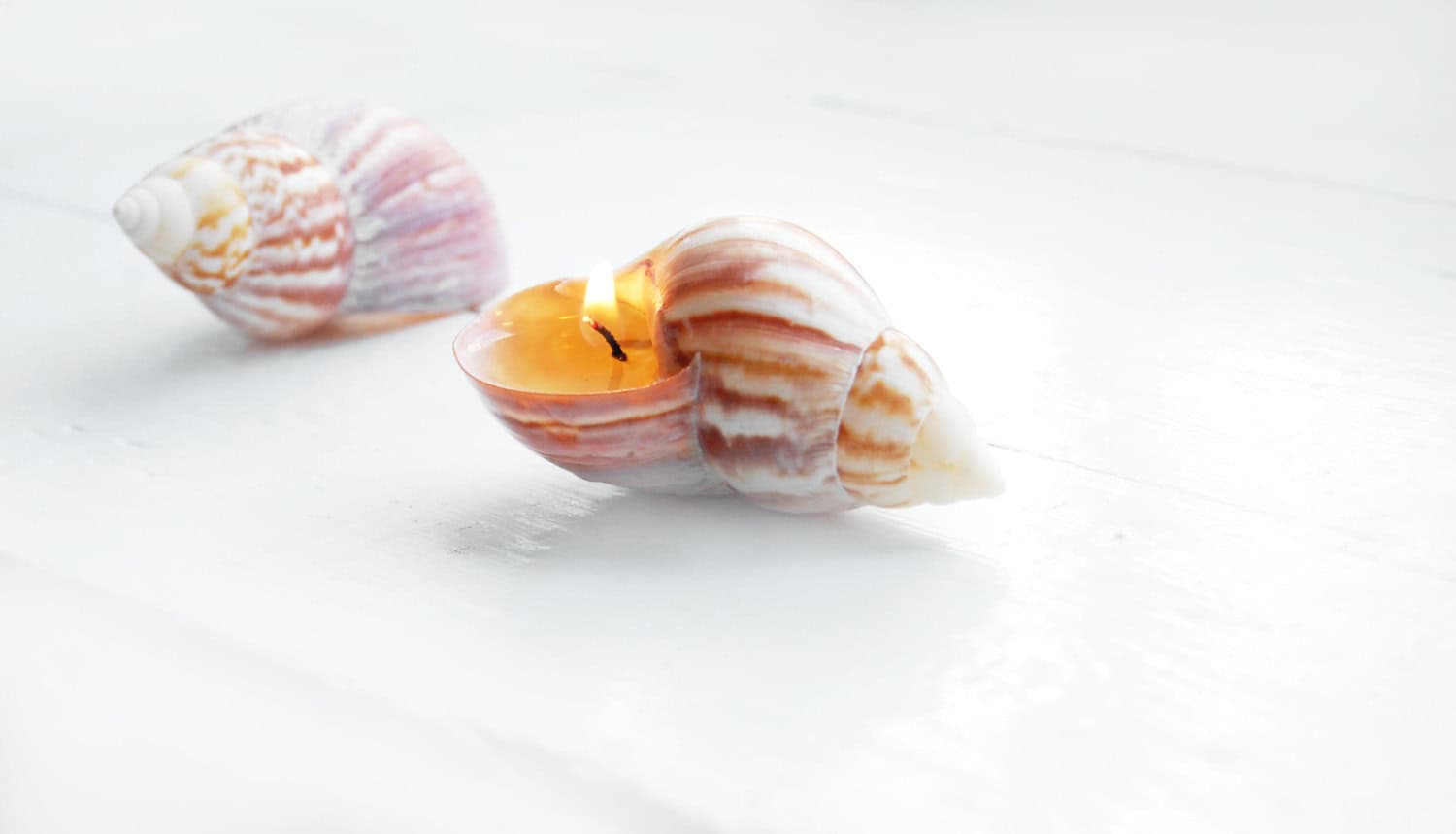 Seashell Scented Candles Buy it here: www.etsy.com