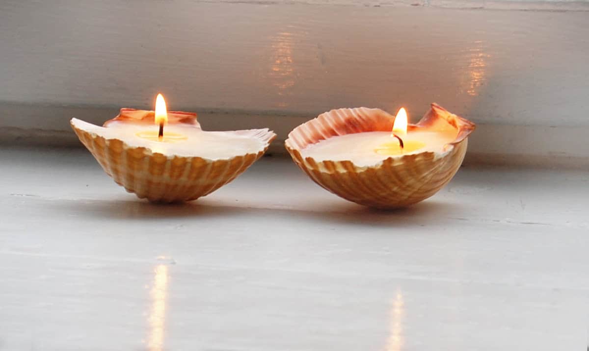 Sea-Shell Candles Buy it here: www.etsy.com