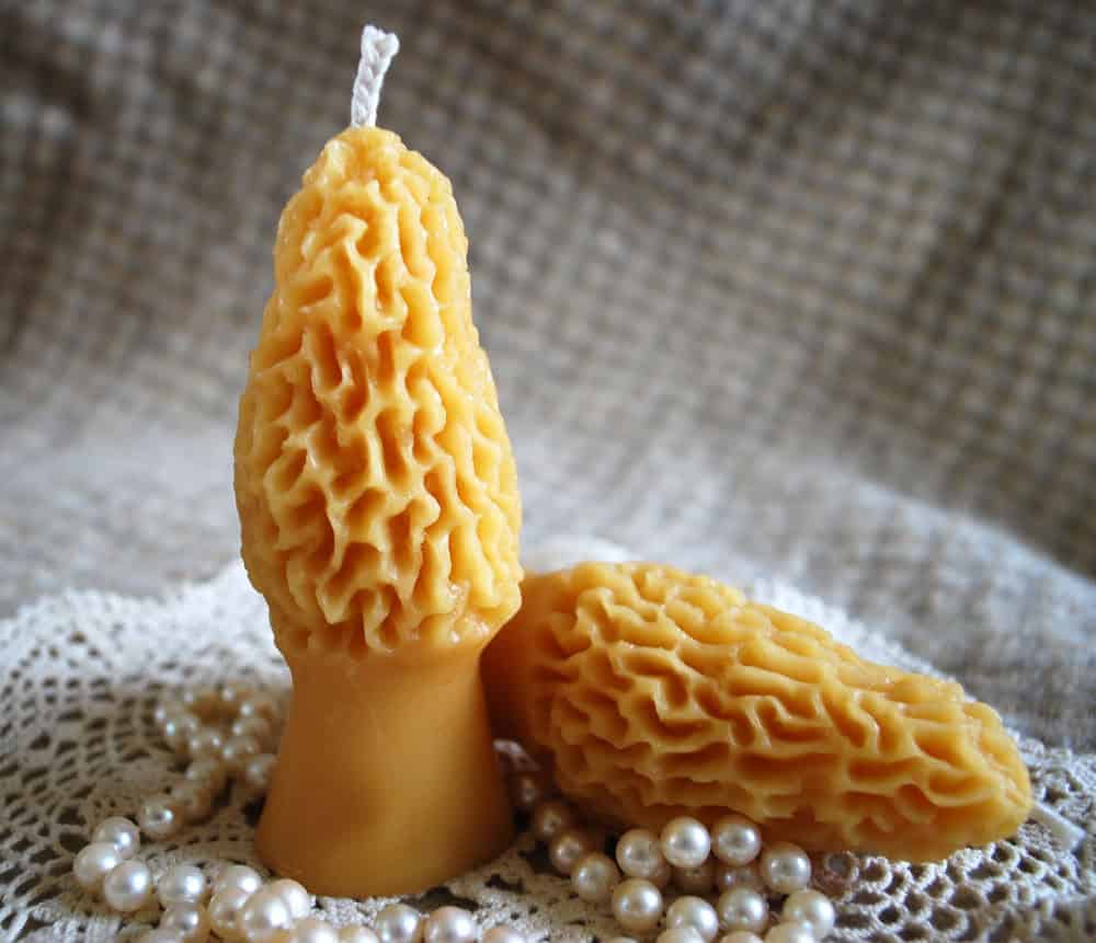 Morel Mushrooms Shaped Beeswax Candles Buy it here: www.etsy.com