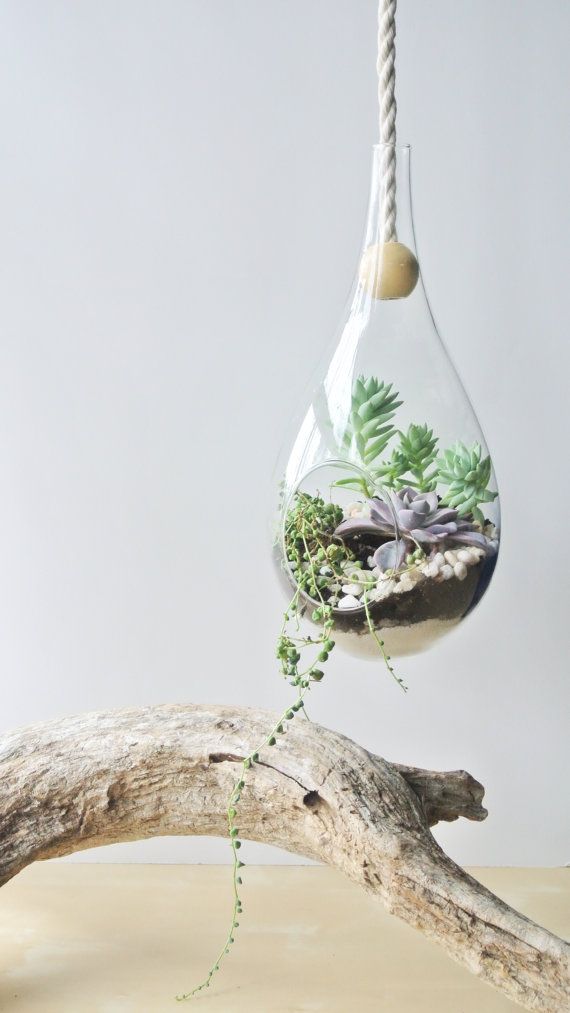 25 Lovely DIY Hanging Planters