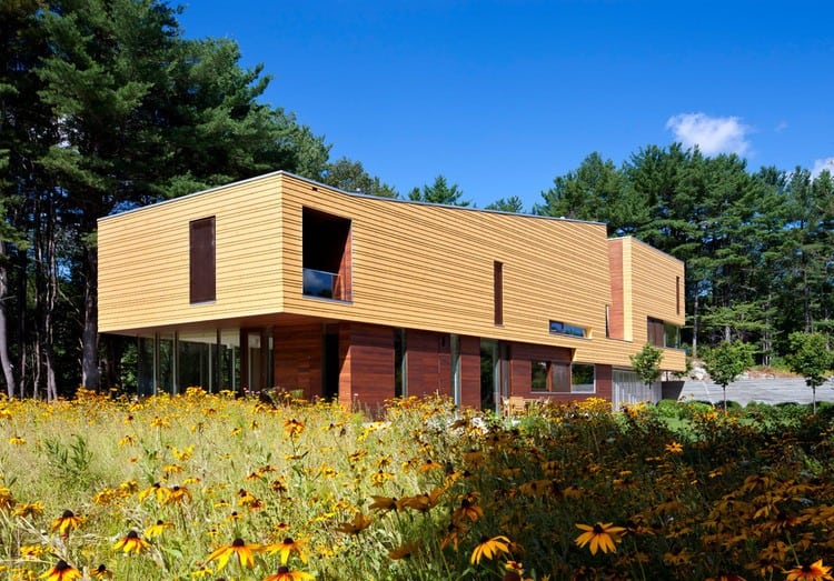 Modern wooden architecture with sleek design and large glass windows in a natural setting.