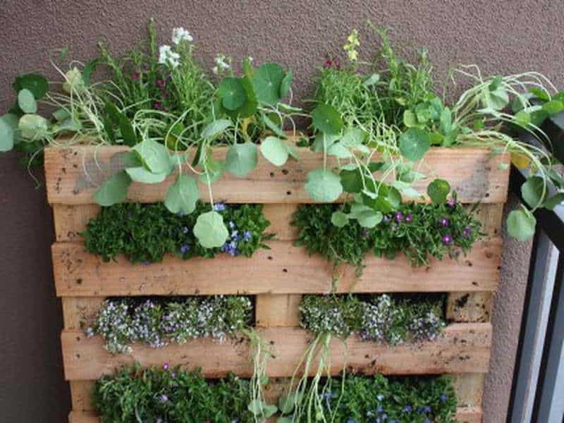 Vertical Herb Garden 3