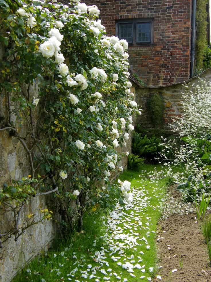 25 Marvelous Flower Walls 12