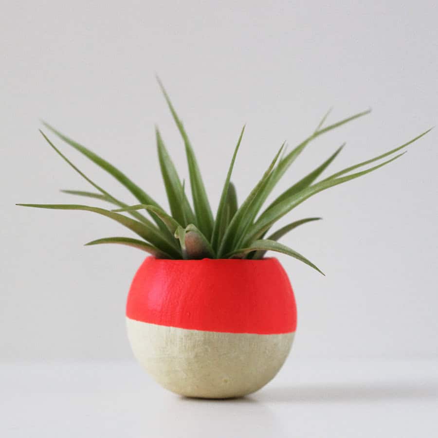 Neon Red Air Plant Pot Buy it here: www.etsy.com