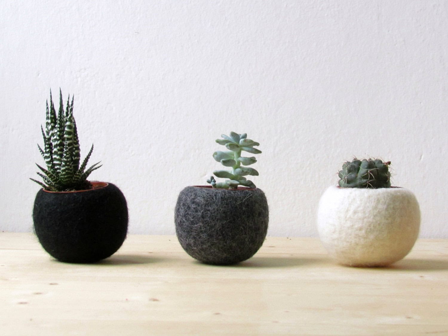 Felt succulent planter Buy it here: www.etsy.com