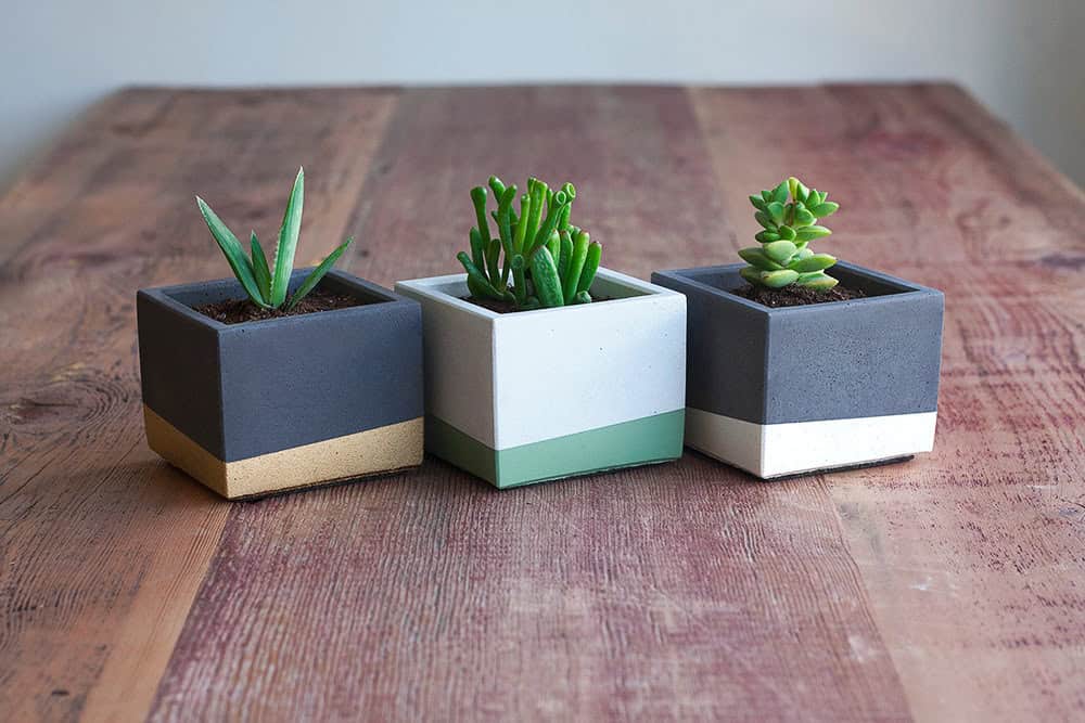 Color Block Concrete Planters Buy it here: www.etsy.com