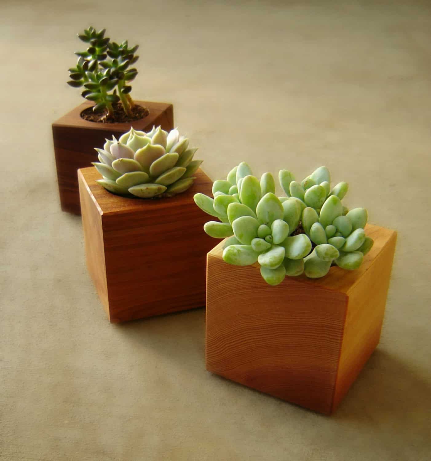Succulent Garden Planters in Reclaimed Wood Buy it here: www.etsy.com