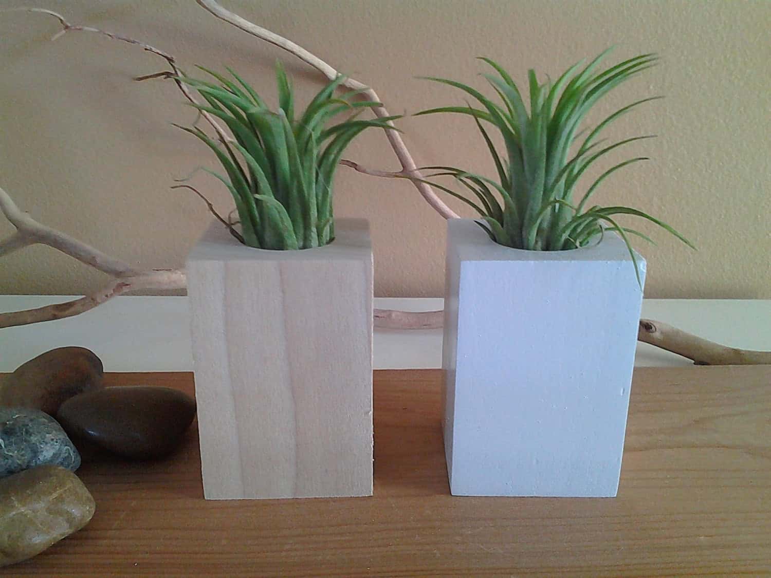 Modern Air plant Terrarium Buy it here: www.etsy.com