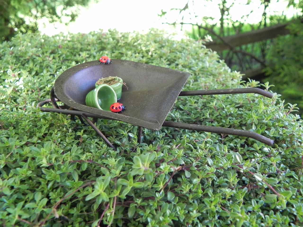Fairy Garden Wheelbarrow Buy it here: www.etsy.com