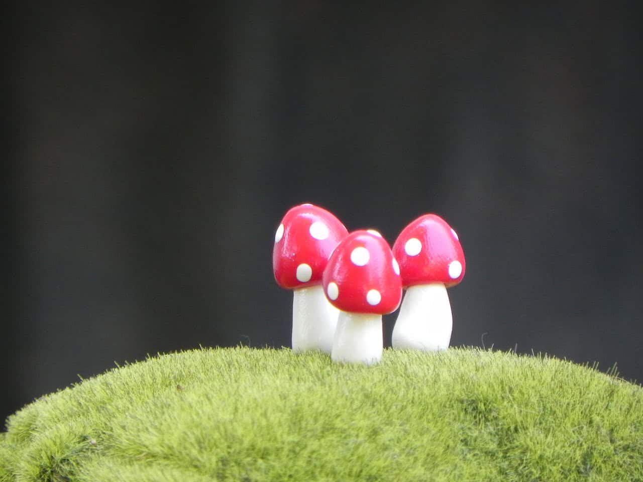 Fairy Garden Mushrooms miniature Buy it here: www.etsy.com
