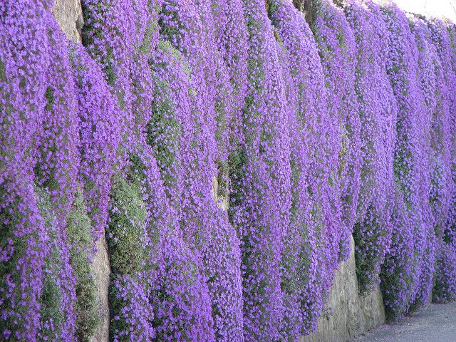 25 Marvelous Flower Walls 23
