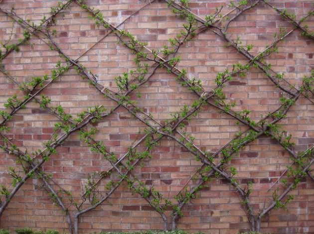 25 Incredible DIY Garden Fence Wall Art Ideas