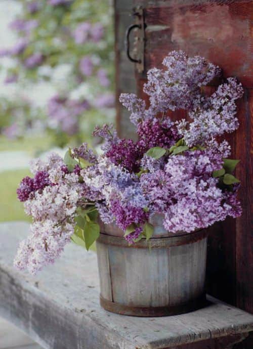 23 Adorable Lilac Decorations