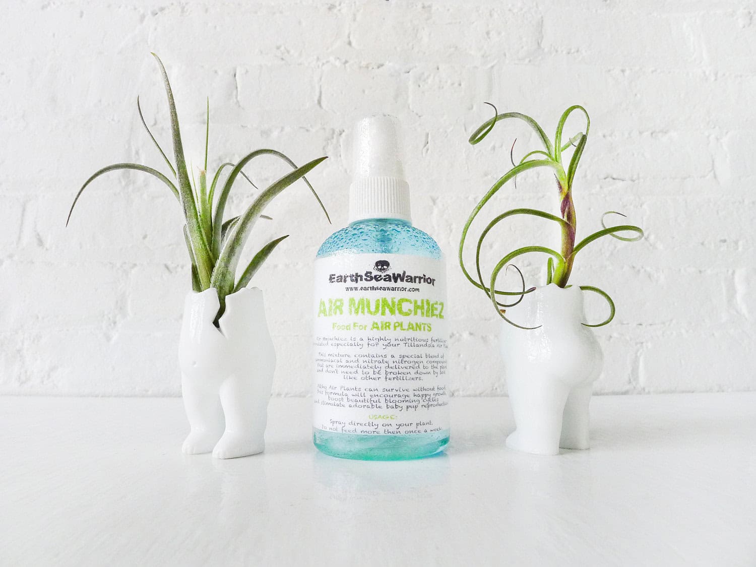 Two Tushiez Terrariums Buy it here: www.etsy.com