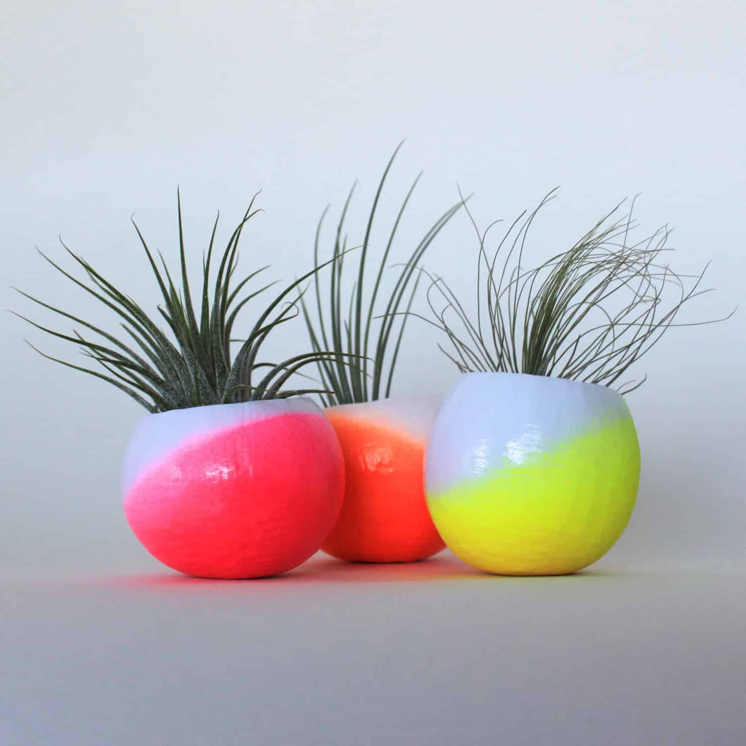 Neon Ombre Air Plant Planter Trio with Air Plants Buy it here: www.etsy.com