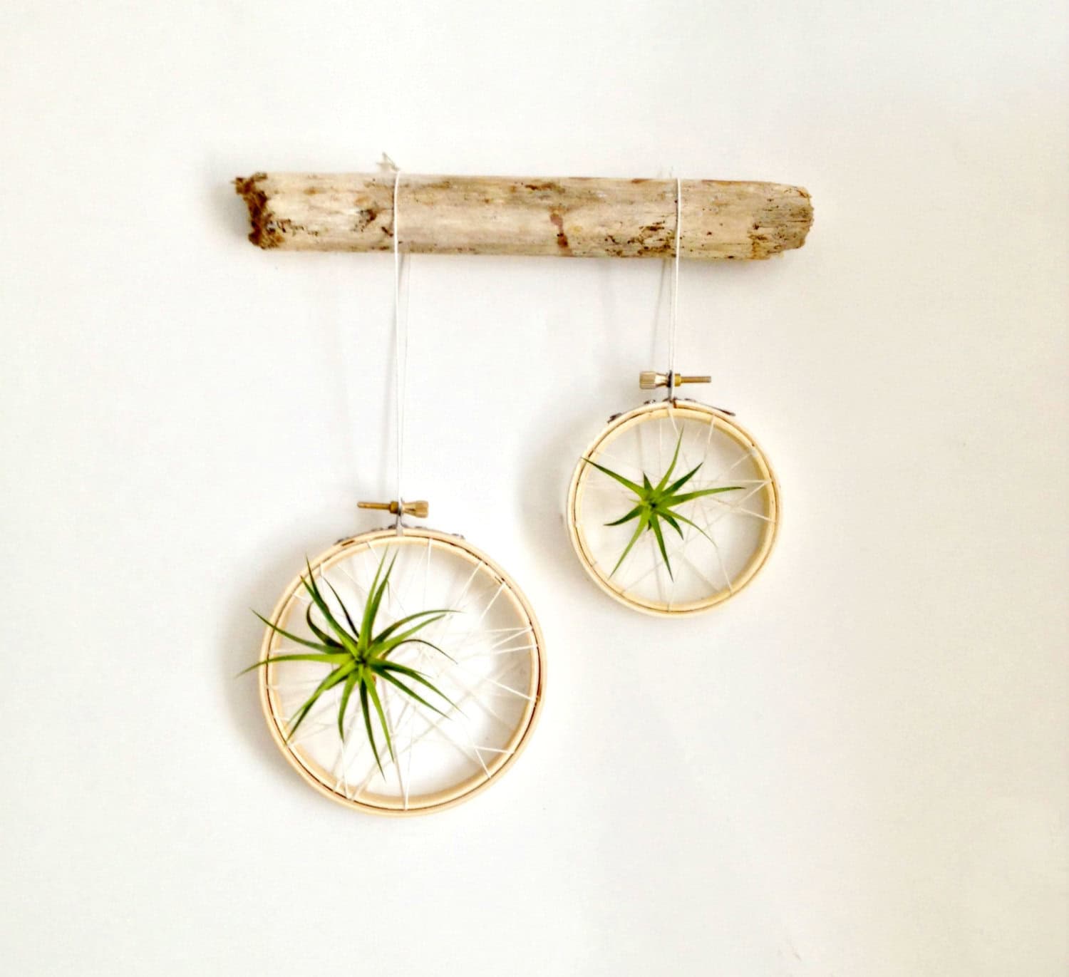 Caught in a web air plant decorations on embroidery hoop with driftwood Buy it here: www.etsy.com