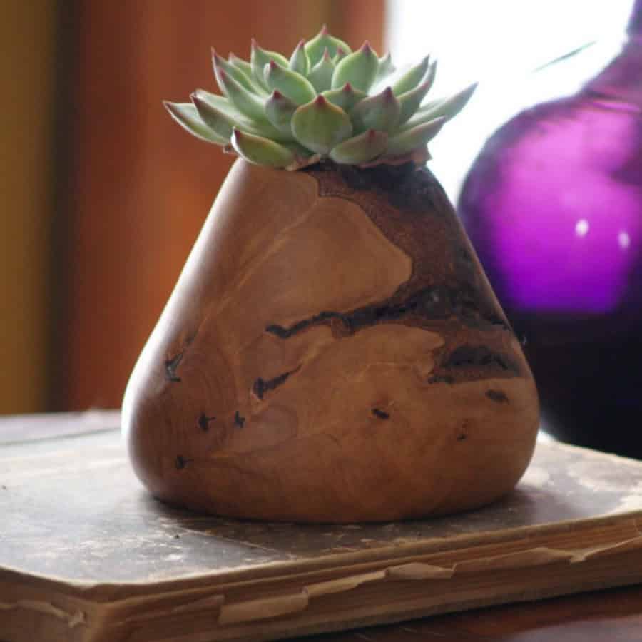 Air Plant Container Buy it here: www.etsy.com