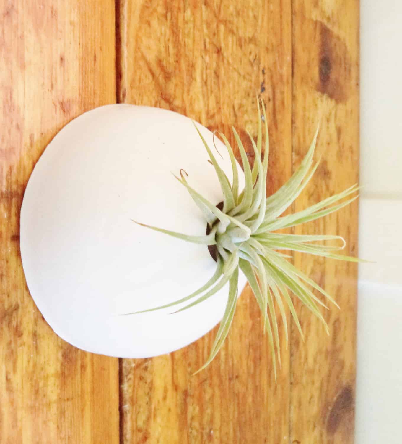 Modern wall planter Buy it here: www.etsy.com