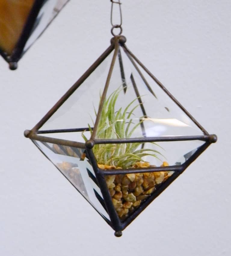 Pyramid Orb Air Plant Planter with Bevel Accent Buy it here: www.etsy.com