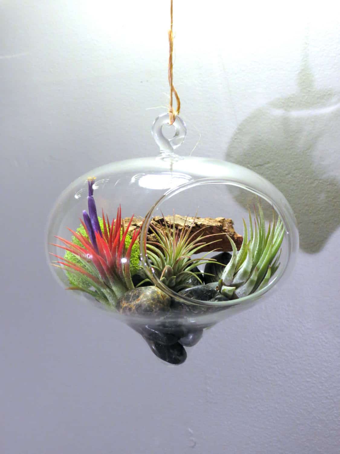 Large Hanging Terrarium Buy it here: www.etsy.com