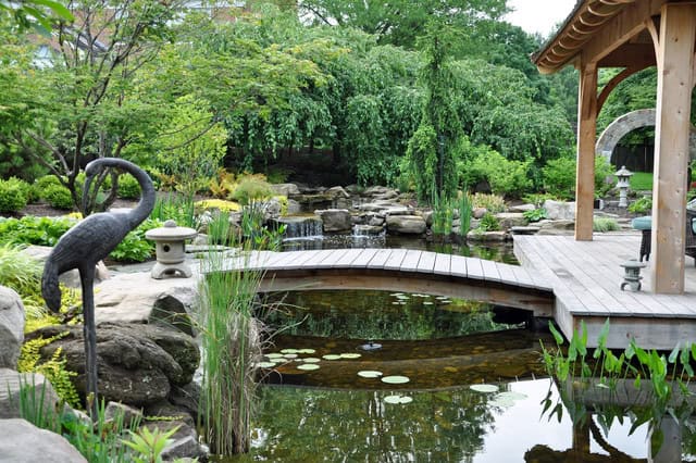 Clever Tips How to Make Perfect Japanese Garden