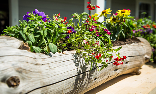 The Cheapest 24 DIY Garden Projects That Anyone Can Make