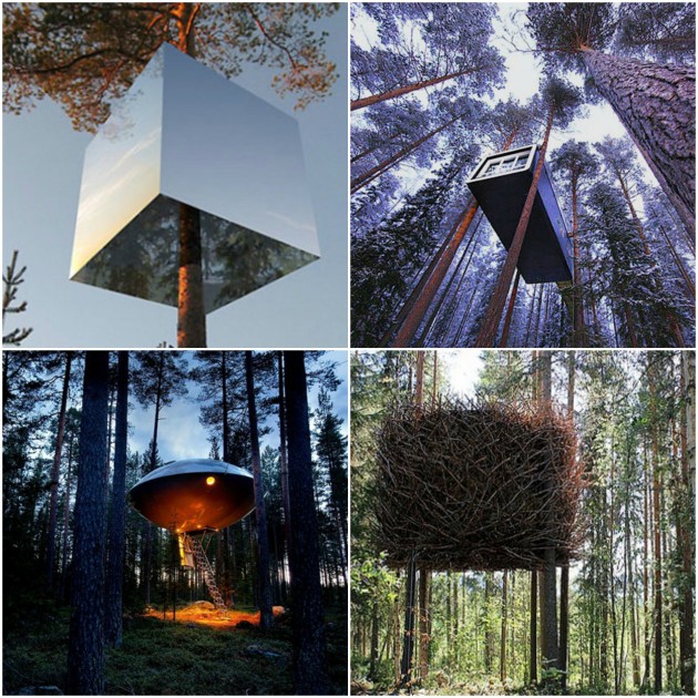 7. Treehotel, Sweden 01