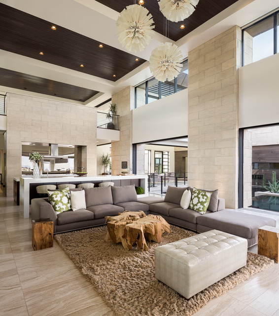 Top 16 Contemporary Living Room Design Ideas