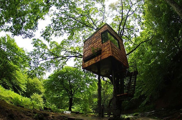 5 Reasons a Tree House is Your Dream House