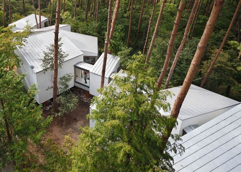 Home between the trees Source