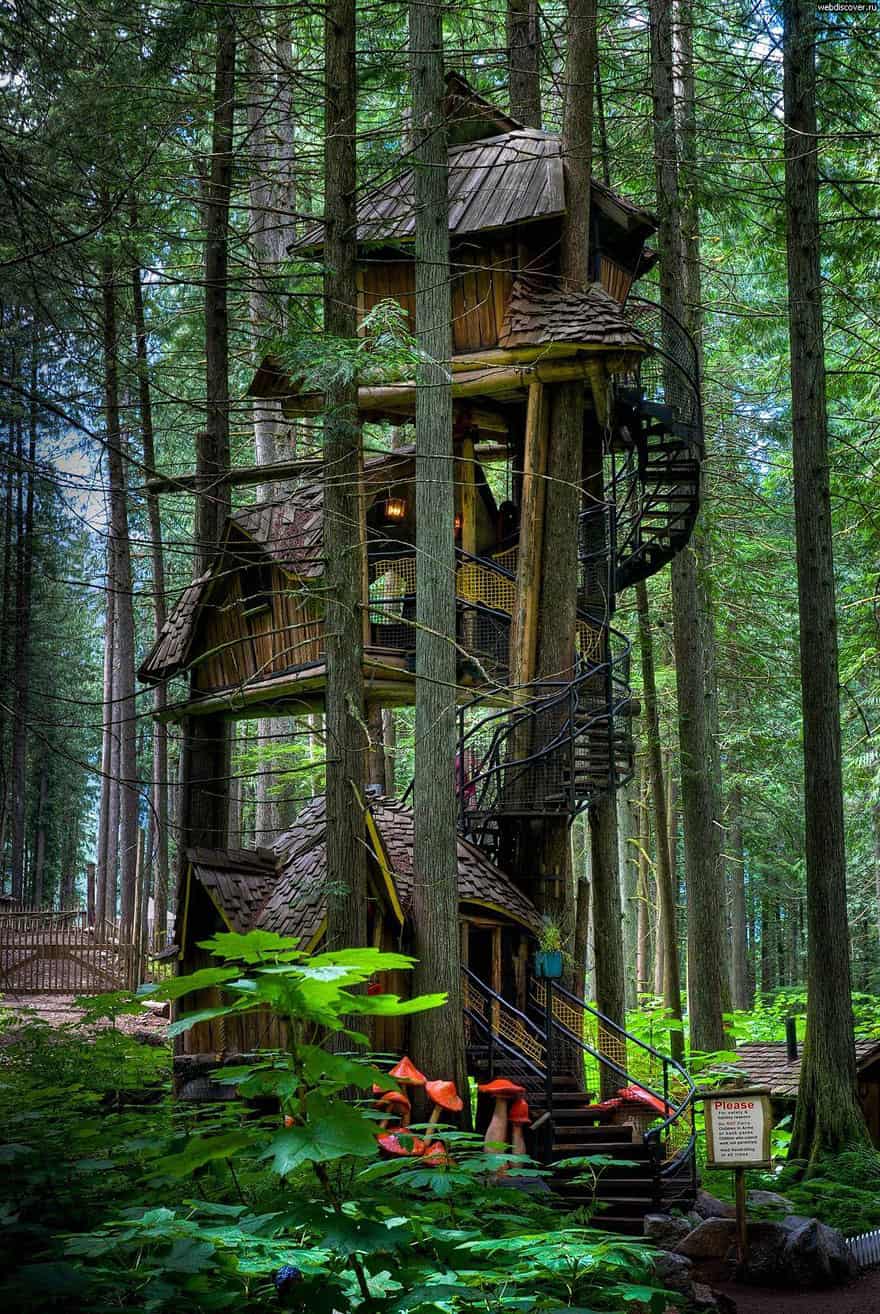 Three Story Tree houses (British Columbia, Canada) Source