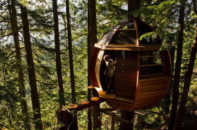 12 Magical Tree Houses That Will Make You Want Them