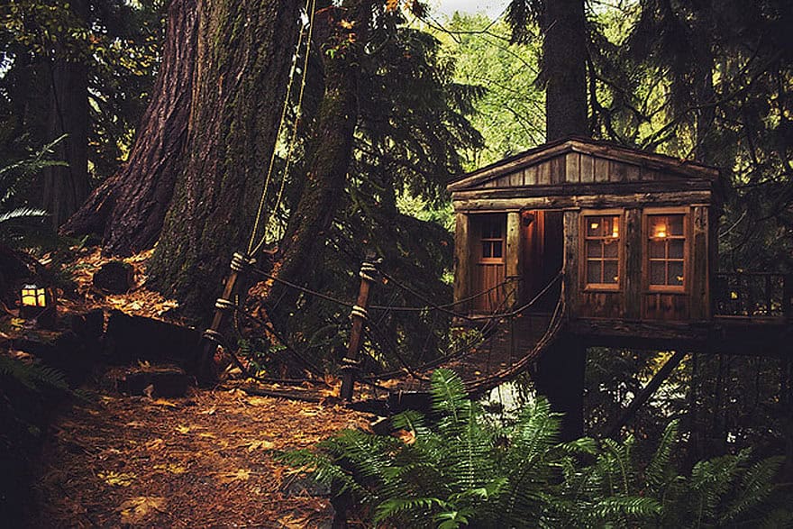Treehouse in Seattle (USA) Source