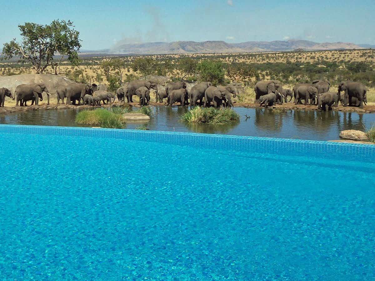 The Four Seasons Safari Lodge – Serengeti,Tanzania Source