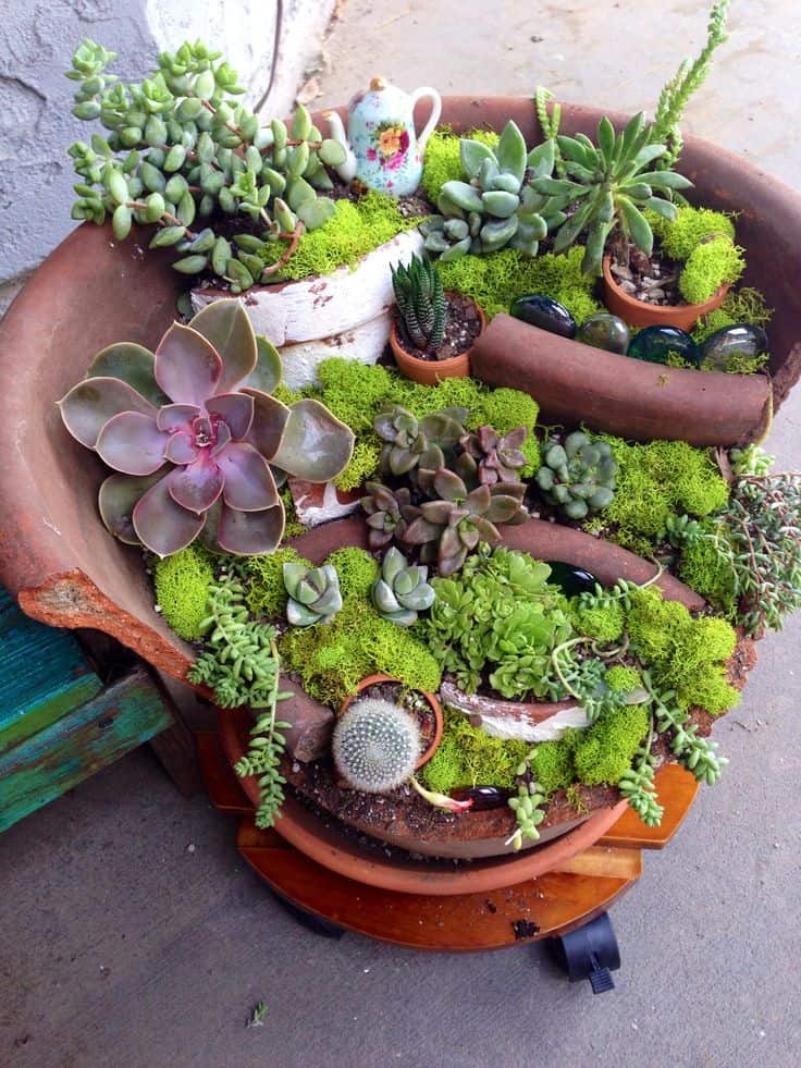 The Most Creative Ideas to Make Fairy Mini Garden from Broken Pots 9