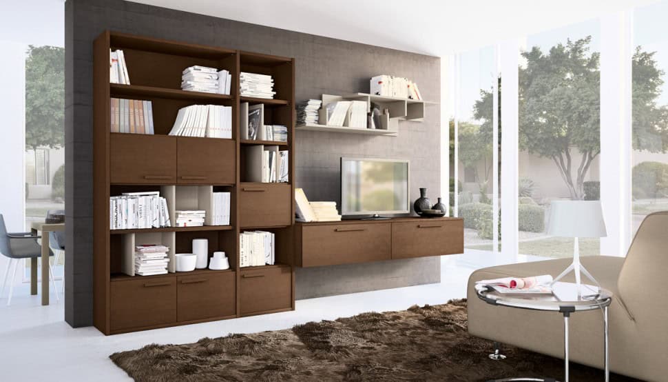 Fascinating Wall Storage Items for Your Contemporary Living Room