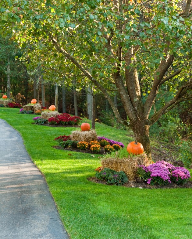 15 Soothing Autumn Landscape Ideas For This Season