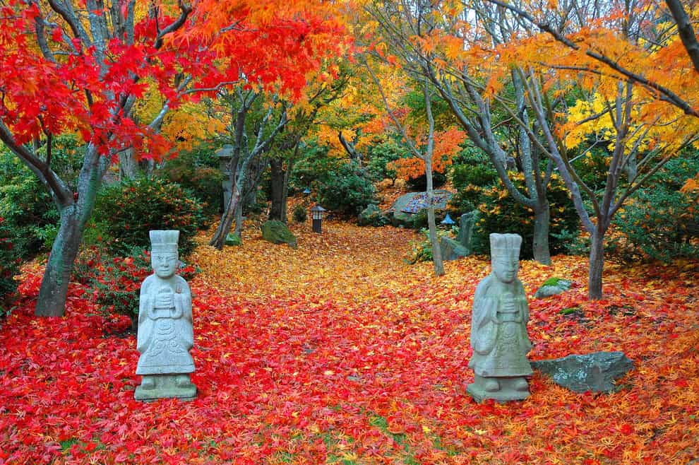 Autumn Asian Landscape Source