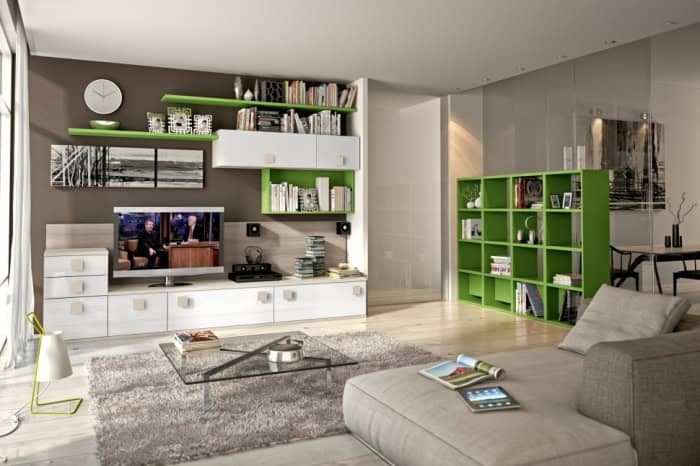 Fascinating Wall Storage Items for Your Contemporary Living Room 6
