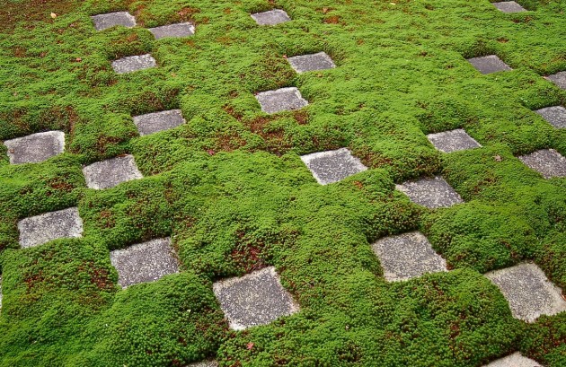 How To Create a Japanese-Inspired Zen Garden