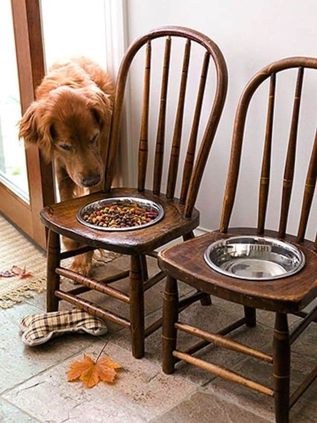 Old chair as pet feeder 4