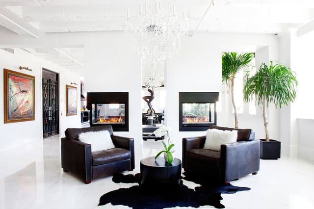 Advantages of Indoor Plants and Flowers 4