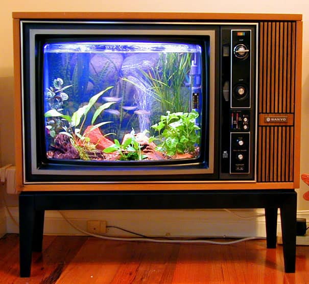 Old TV into aquarium 8