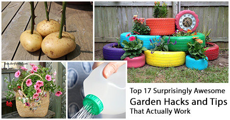 Top 17 Surprisingly Awesome Garden Hacks and Tips That Actually Work