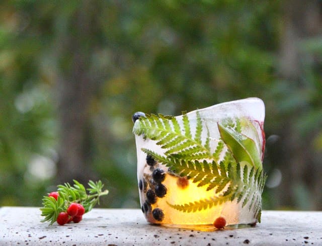 DIY Botanical Ice Luminaries For Outdoors 10