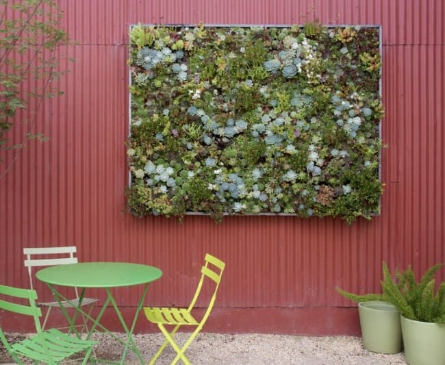 Grow a vertical garden 11