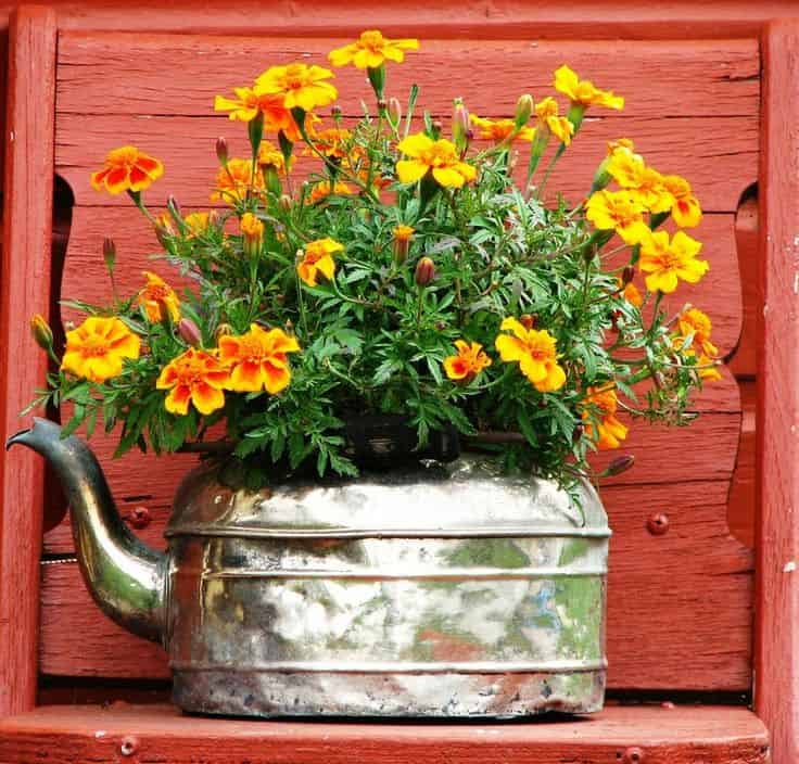 Reuse some old items as garden pots 8