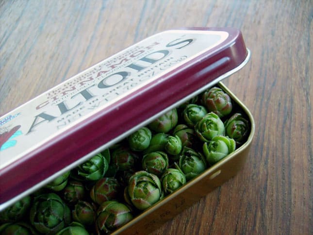 Top 21 Most Genius & Cheap DIY Garden Pots Ideas To Spruce Up Your Garden 18