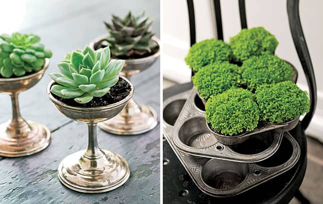 Top 21 Most Genius & Cheap DIY Garden Pots Ideas To Spruce Up Your Garden 20
