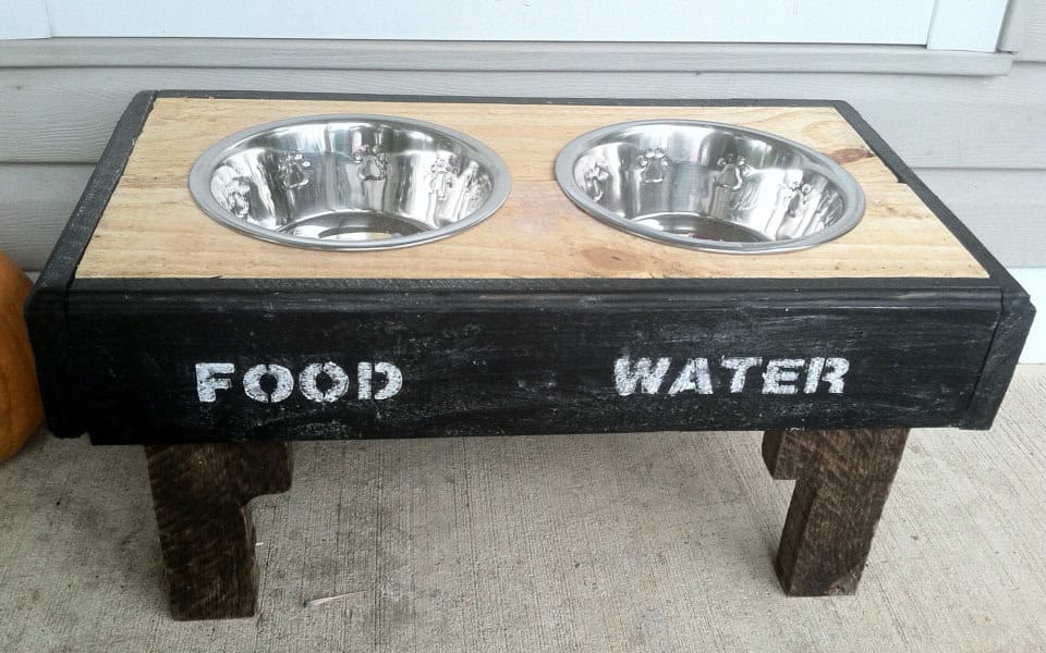 dog bowl stand Source